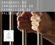 Abogados de inmigración en  Carballeda de Valdeorras