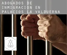 Abogados de inmigración en  Palacios de la Valduerna