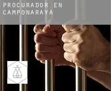 Procurador en  Camponaraya