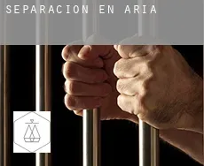 Separación en  Aria