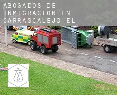 Abogados de inmigración en  Carrascalejo (El)