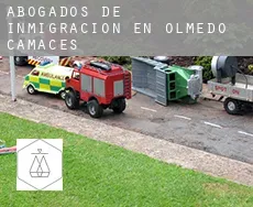 Abogados de inmigración en  Olmedo de Camaces