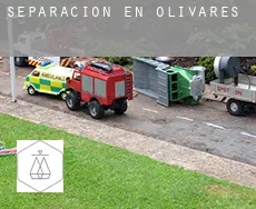 Separación en  Olivares