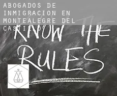 Abogados de inmigración en  Montealegre del Castillo