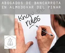 Abogados de bancarrota en  Almodóvar del Pinar
