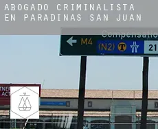 Abogado criminalista en Paradinas de San Juan
