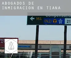 Abogados de inmigración en  Tiana