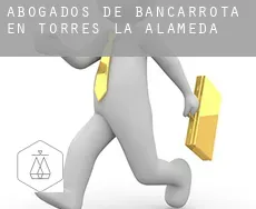 Abogados de bancarrota en  Torres de la Alameda