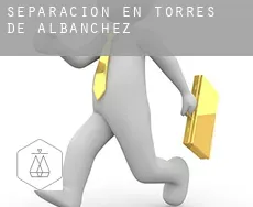 Separación en  Torres de Albánchez