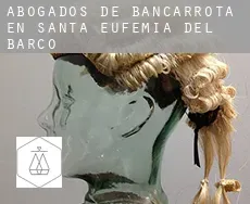 Abogados de bancarrota en  Santa Eufemia del Barco