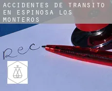 Accidentes de tránsito en  Espinosa de los Monteros