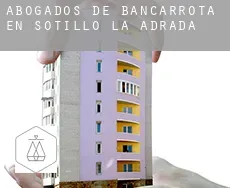 Abogados de bancarrota en  Sotillo de la Adrada