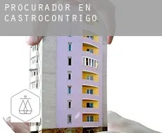 Procurador en  Castrocontrigo
