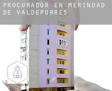 Procurador en  Merindad de Valdeporres