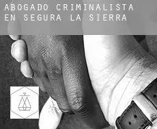 Abogado criminalista en  Segura de la Sierra