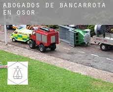Abogados de bancarrota en  Osor