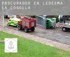 Procurador en  Ledesma de la Cogolla