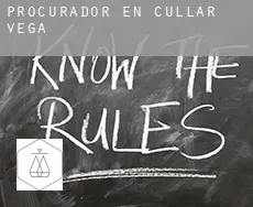 Procurador en  Cúllar-Vega