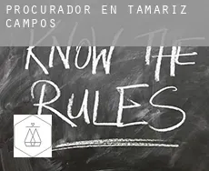 Procurador en  Tamariz de Campos