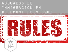 Abogados de inmigración en  Bellmunt de Mesquí / Belmonte de San José