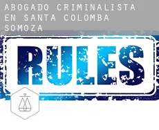 Abogado criminalista en  Santa Colomba de Somoza
