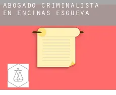Abogado criminalista en  Encinas de Esgueva