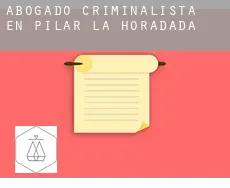 Abogado criminalista en  Pilar de la Horadada