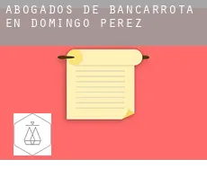 Abogados de bancarrota en  Domingo Pérez