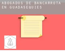 Abogados de bancarrota en  Guadasequies