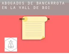Abogados de bancarrota en  la Vall de Boí