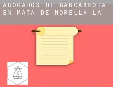 Abogados de bancarrota en  Mata de Morella (la)