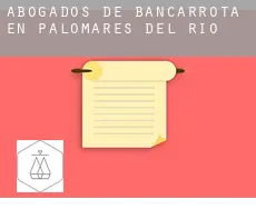 Abogados de bancarrota en  Palomares del Río