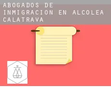 Abogados de inmigración en  Alcolea de Calatrava