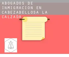 Abogados de inmigración en  Cabezabellosa de la Calzada