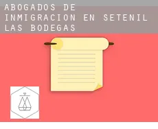 Abogados de inmigración en  Setenil de las Bodegas