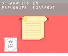 Separación en  Esplugues de Llobregat