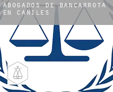 Abogados de bancarrota en  Caniles