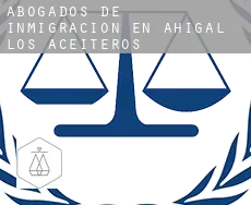Abogados de inmigración en  Ahigal de los Aceiteros
