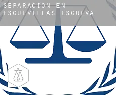 Separación en  Esguevillas de Esgueva