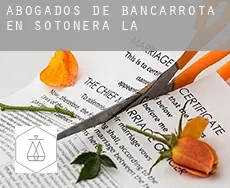 Abogados de bancarrota en  Sotonera (La)