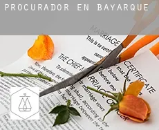 Procurador en  Bayarque