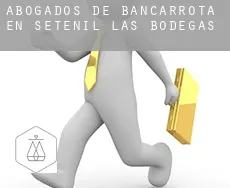 Abogados de bancarrota en  Setenil de las Bodegas