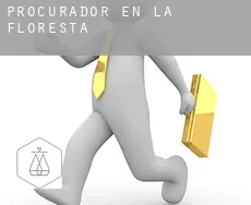 Procurador en  la Floresta