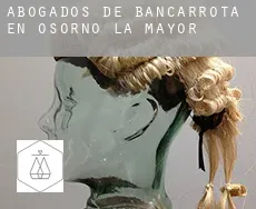 Abogados de bancarrota en  Osorno la Mayor