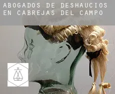 Abogados de deshaucios en  Cabrejas del Campo