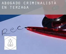 Abogado criminalista en  Terzaga