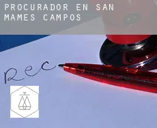 Procurador en  San Mamés de Campos