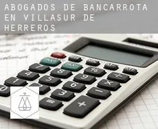 Abogados de bancarrota en  Villasur de Herreros