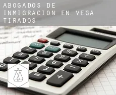 Abogados de inmigración en Vega de Tirados