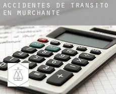 Accidentes de tránsito en  Murchante